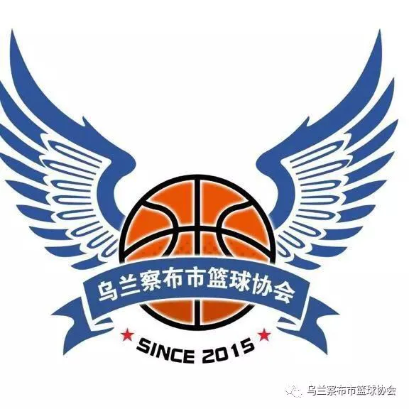 如何通过数据分析优化篮板训练效果?_2